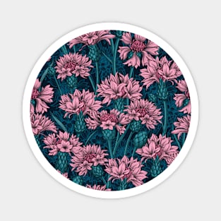Cornflowers in pink and blue Magnet
